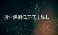 创业板指低开低走跌1.36%，油气股逆势大涨