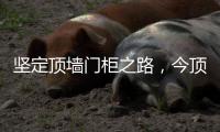坚定顶墙门柜之路

，今顶2021年核心代理商年中线上交流会圆满结束