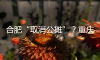 合肥“取消公摊”
？重庆已经试了21年，香港更彻底