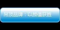 吊顶品牌
	：以颜值获胜 以品质为王