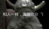 和人一样
，海豚也分“i豚”和“e豚”吗�？