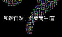 和谐自然，向美而生!普乐美为原创设计发声，亮相2021KBC!