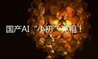 国产AI“小初”亮相
！智力媲美人类可自动学习