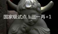 国家级试点！三一再+1	！