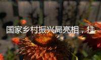 国家乡村振兴局亮相，挂上这块牌子意味着什么？