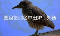 国足集训名单出炉：郑智落选 两U23新星入选