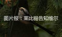 图片报
：莱比锡告知维尔纳将不再上场，唯一下家或为纽约红牛