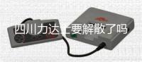 四川力达士要解散了吗
