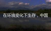 在环境变化下生存，中国十大管业品牌以最快的速度做调整