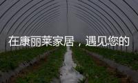 在康丽莱家居	，遇见您的专属床垫