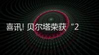 喜讯! 贝尔塔荣获“2016年中国燃气壁挂炉十强企业”