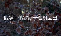 俄媒：俄罗斯一客机因出现技术故障返航