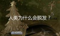 人类为什么会脱发？
