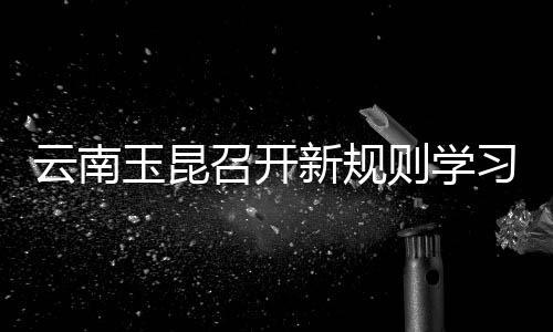 新规习研7月11日下午