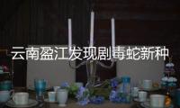 云南盈江发现剧毒蛇新种素贞环蛇