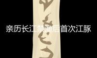 亲历长江禁渔后首次江豚科考，在干旱的鄱阳湖寻找江豚