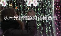 从禾光智能路灯读懂智慧城市