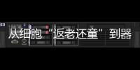 从细胞“返老还童”到器官再生：干细胞治疗离我们还有多远？