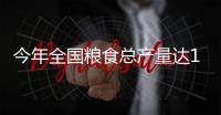 今年全国粮食总产量达13908.2亿斤（新数据 新看点）