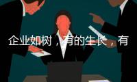 企业如树，有的生长，有的死亡