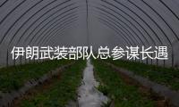 伊朗武装部队总参谋长遇刺身亡