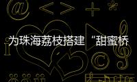 为珠海荔枝搭建“甜蜜桥梁”！九洲港也能买到新鲜采摘的荔枝啦