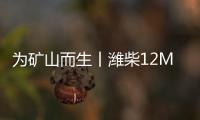 为矿山而生丨潍柴12M55矿卡动力——可靠耐用 硬核担当