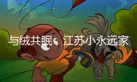 与绒共眠，江苏小永远家纺家居用品给睡眠升级