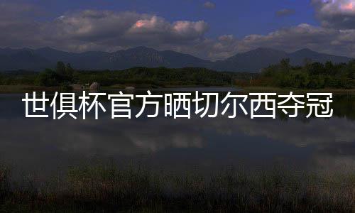 世俱切尔西全队球员均在列