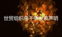 世贸组织总干事发表声明：欢迎中美经贸高层会谈取得积极成果
