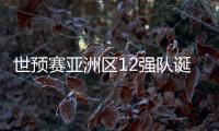 世预赛亚洲区12强队诞生！中日韩澳伊齐聚