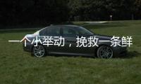一个小举动
，挽救一条鲜活生命！珠海504名快递员化身"城市哨兵"