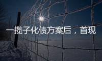 一揽子化债方案后，首现城投“统借统还”案例