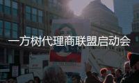 一方树代理商联盟启动会�：展示健康艺术板材，引领家居市场新潮流