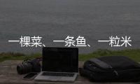 一棵菜、一条鱼	、一粒米
：年轻人热衷务农的“乡村振兴密码”