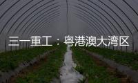 三一重工：粤港澳大湾区绿色运输新突破
：新能源重卡开启跨境物流新纪元
