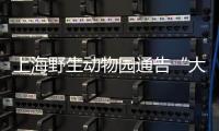 上海野生动物园通告“大象斗殴”：对相关象已采取保护性举措