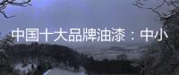 中国十大品牌油漆	：中小油漆企业需正确治理市场乱象