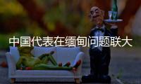 中国代表在缅甸问题联大非正式会议上阐述中方立场