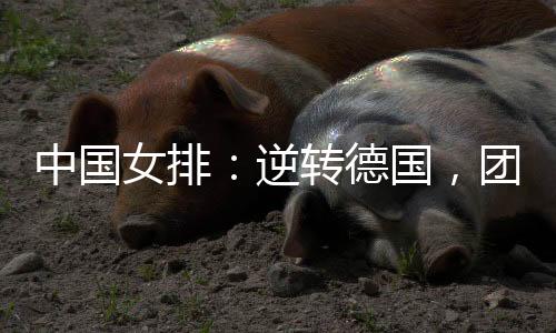 女排逆转”“球到我这