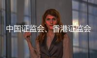 中国证监会、香港证监会：原则同意进一步扩大股票互联互通标的范围