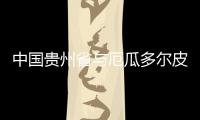 中国贵州省与厄瓜多尔皮钦查省各取其长将开展务实合作