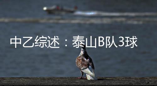 谭靖波、中乙综述至北王梓洋