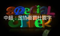 中超
：足协重罚杜震宇 停赛达7场罚款35000元
