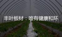 丰叶板材：唯有健康和环保不可辜负!