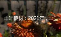 丰叶板材：2021年，我们想要这样!