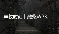 丰收时刻丨潍柴WP3.6N勇当先，油菜丰收捷报传