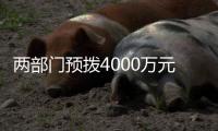 两部门预拨4000万元中央自然灾害救灾资金，支持琼粤桂防汛防台风