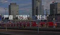 严查“硕鼠”“蛀虫”，十起典型案例公布！