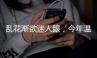 乱花渐欲迷人眼，今年温网真的冷！